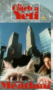 Поймать йети (1995) постер
