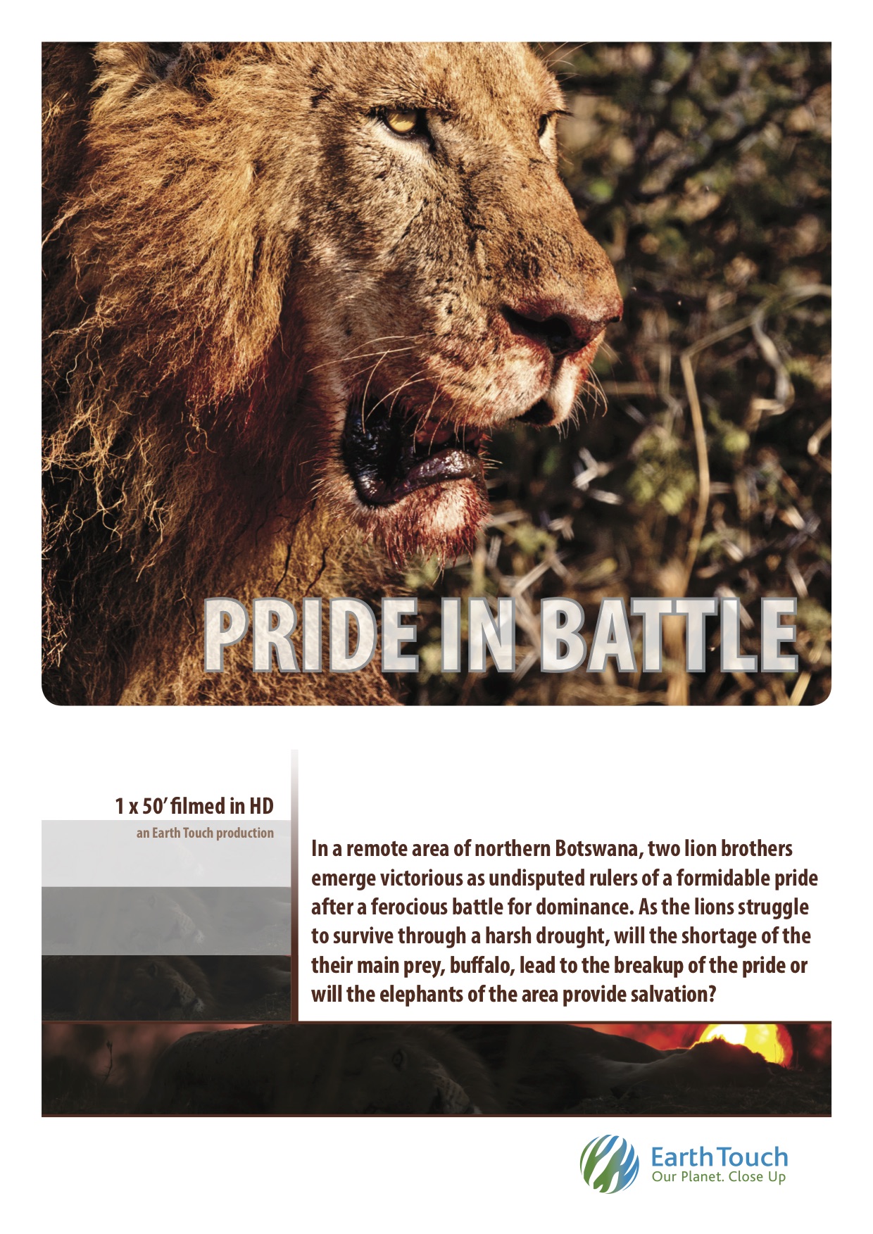 Pride in Battle (2010) постер
