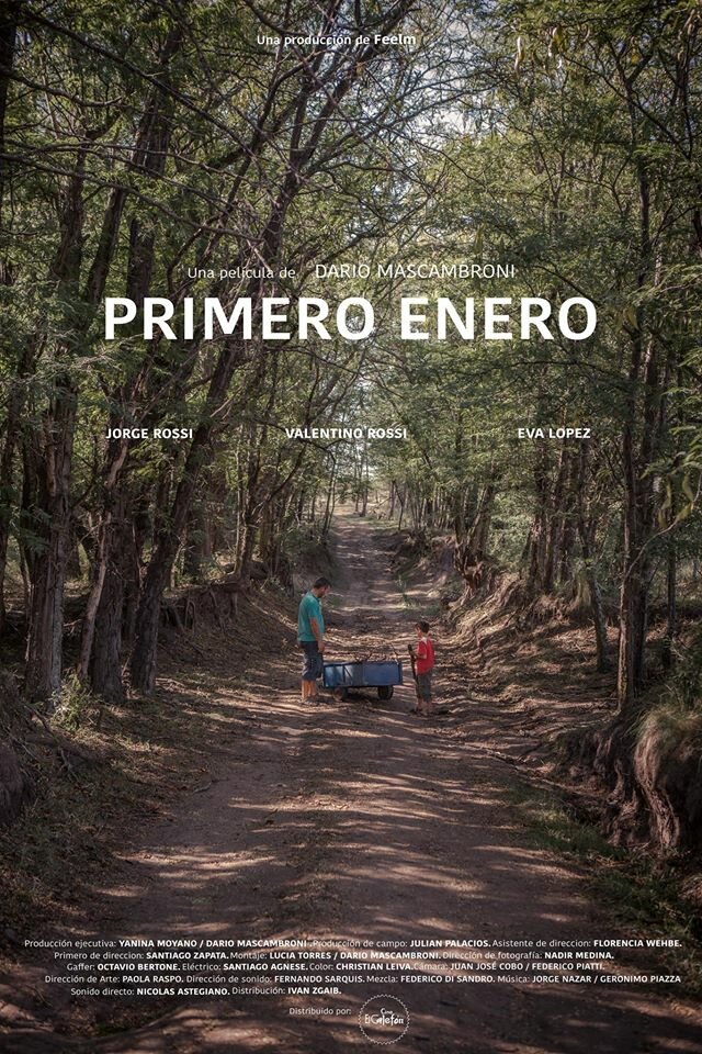 Primero enero (2016) постер