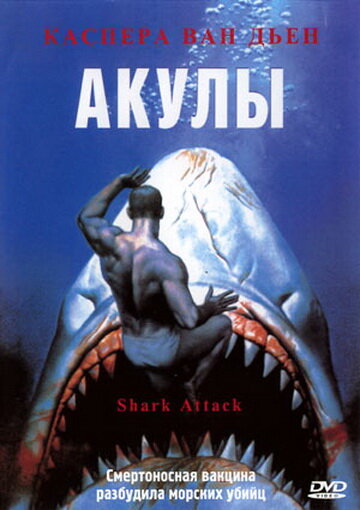 Акулы (1999) постер