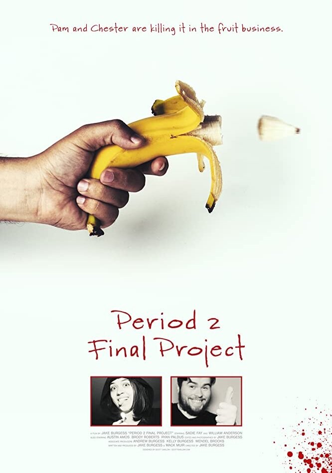 Period 2 Final Project (2019) постер