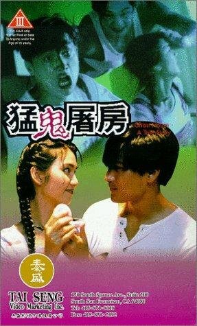 Meng gui tu fang (1995) постер
