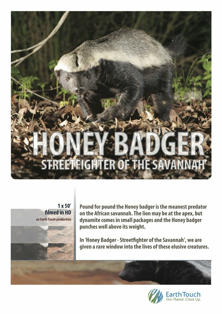 Ultimate Honey Badger (2013) постер