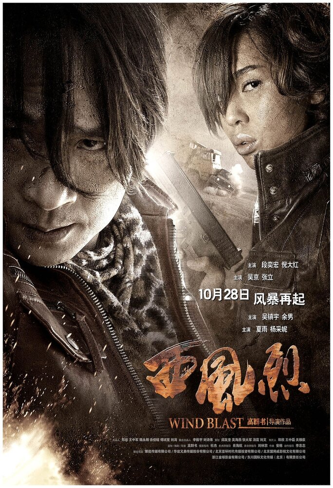 Вихрь (2010) постер