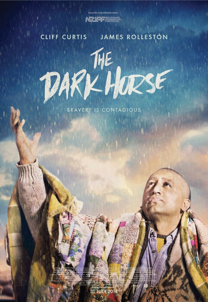 Тёмная лошадка (2014) постер