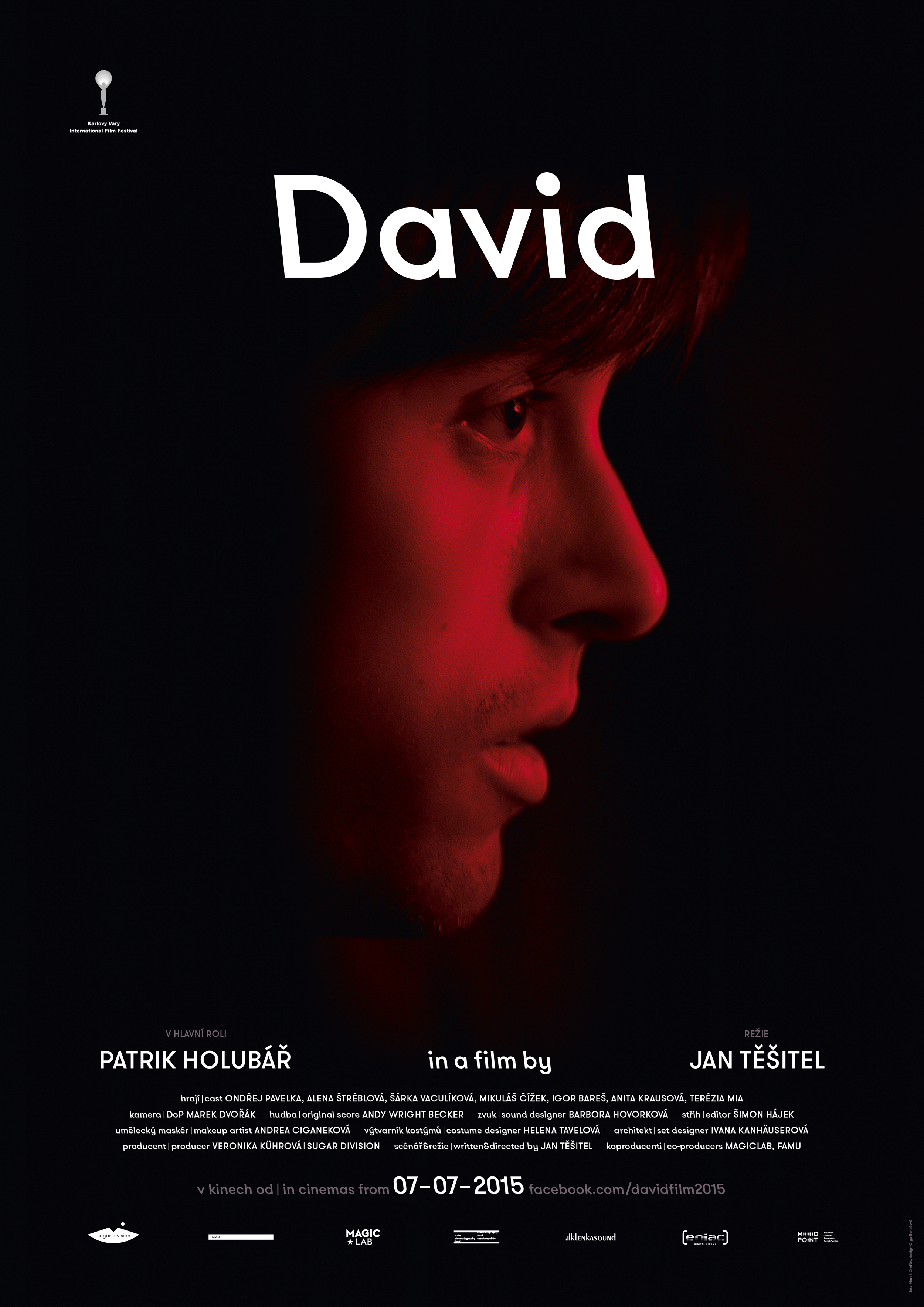 Дэвид (2015) постер