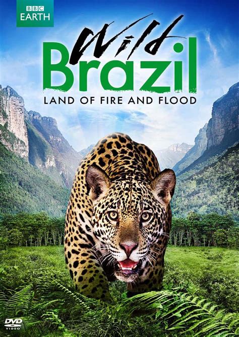 Дикая Бразилия (2014) постер