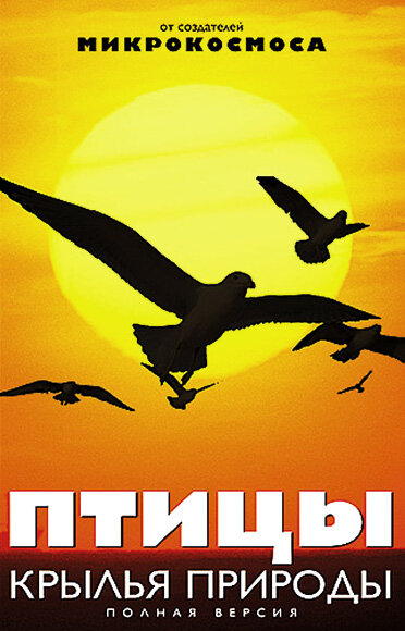 Птицы: Крылья природы (2002) постер