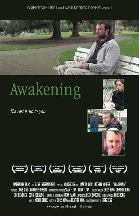Awakening (2006) постер