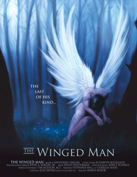The Winged Man (2008) постер