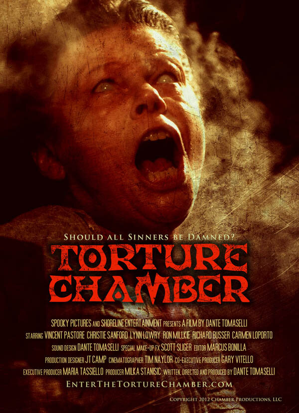 Камера пыток (2013) постер